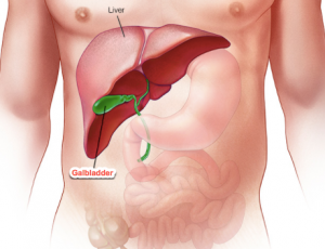 Liver Image