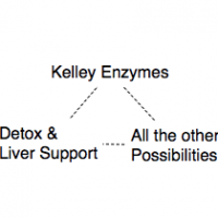 Learn What Each Supplement Does to Assist in Disease Recovery